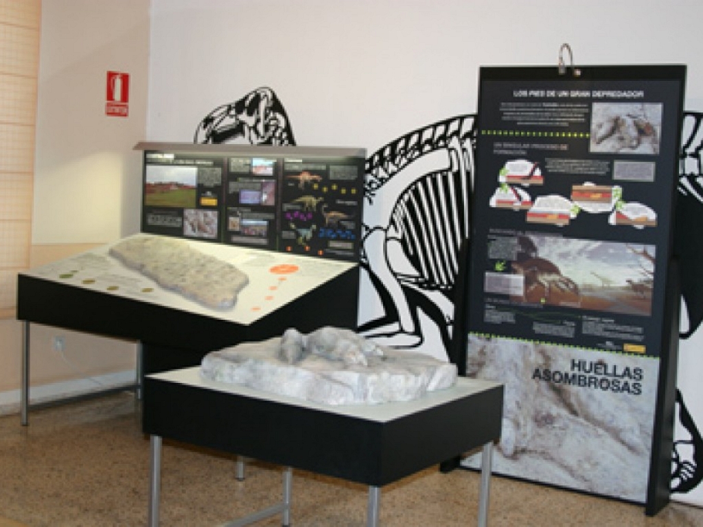 Dotación para el museo paleontológico-Salas de los Infantes